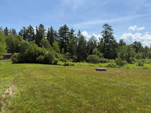 Media Image 2