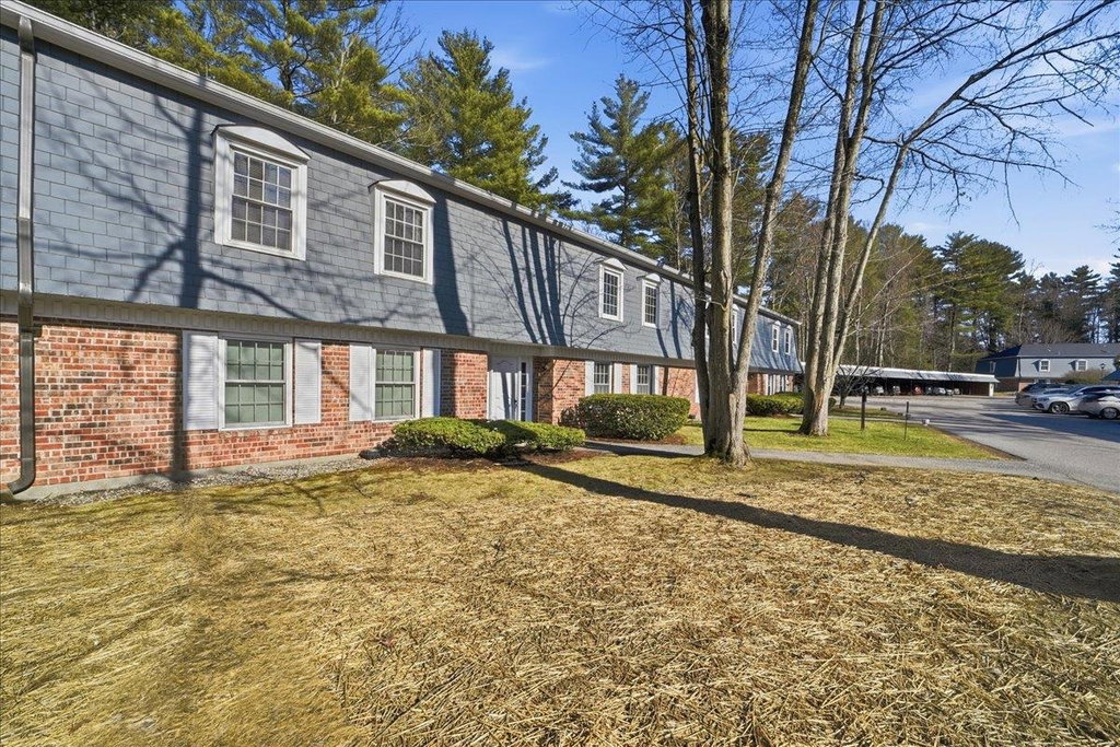 Media Image 1