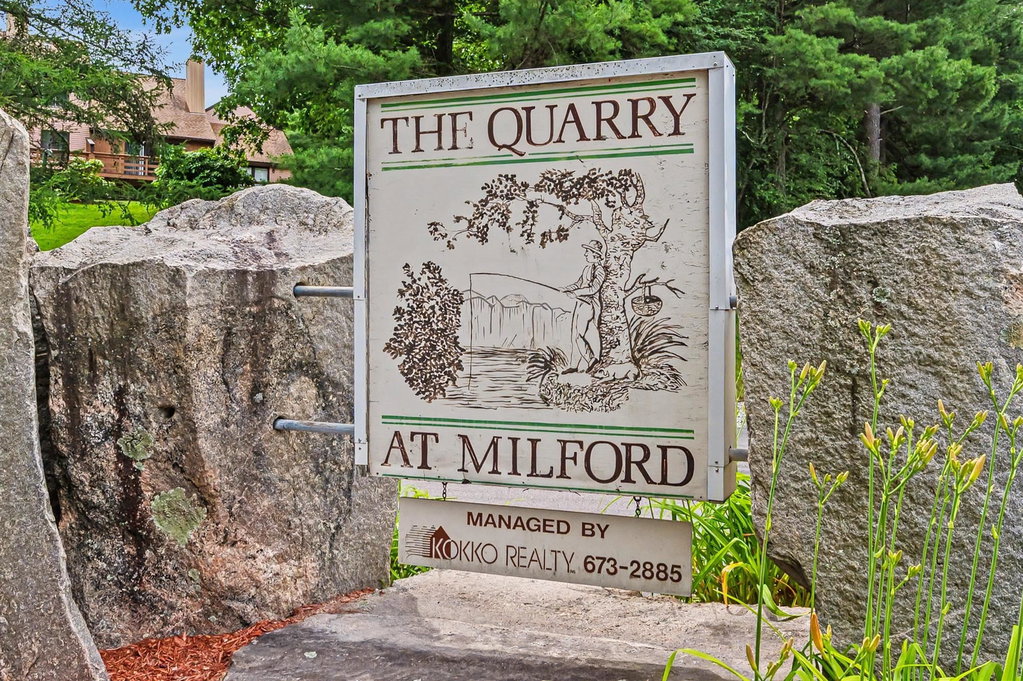 Media Image 1