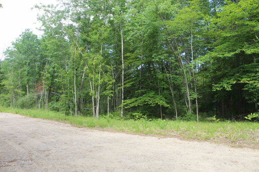 Media Image 3