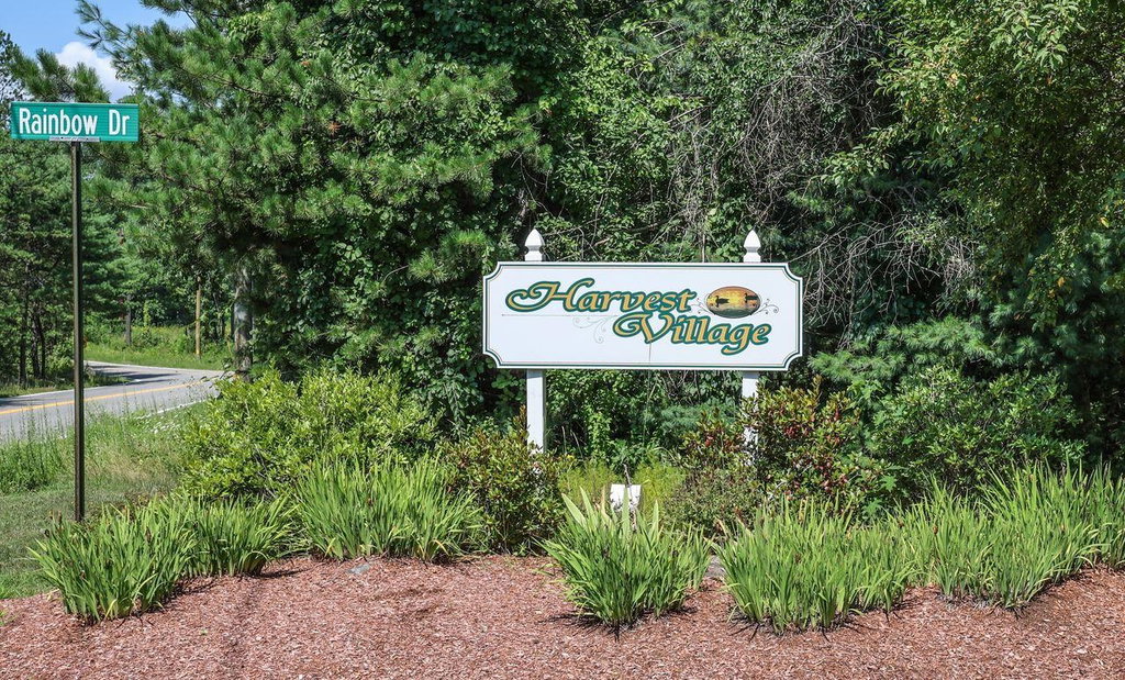 Media Image 1