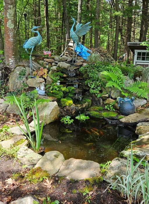Media Image 2