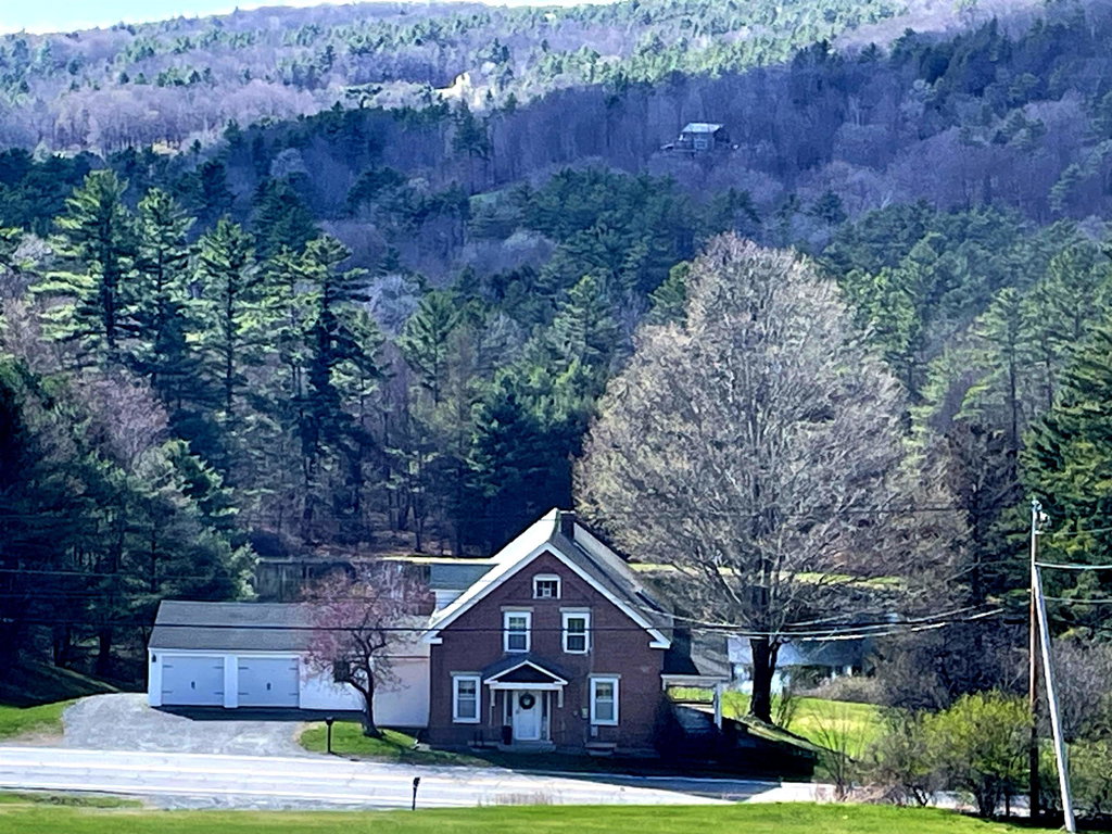 Media Image 1