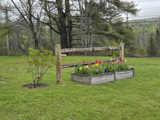 Media Image 2