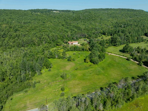 Media Image 2