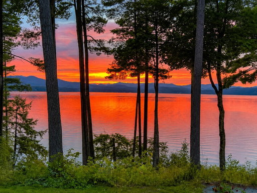 Media Image 2
