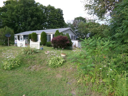 Media Image 2