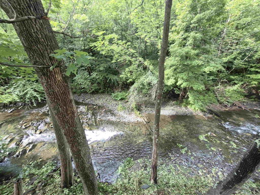 Media Image 3