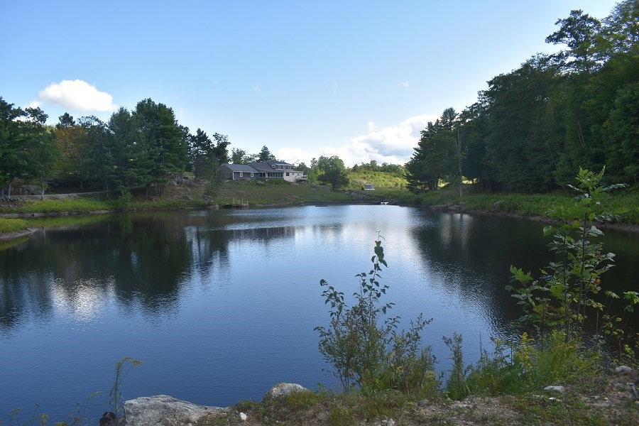 Media Image 1