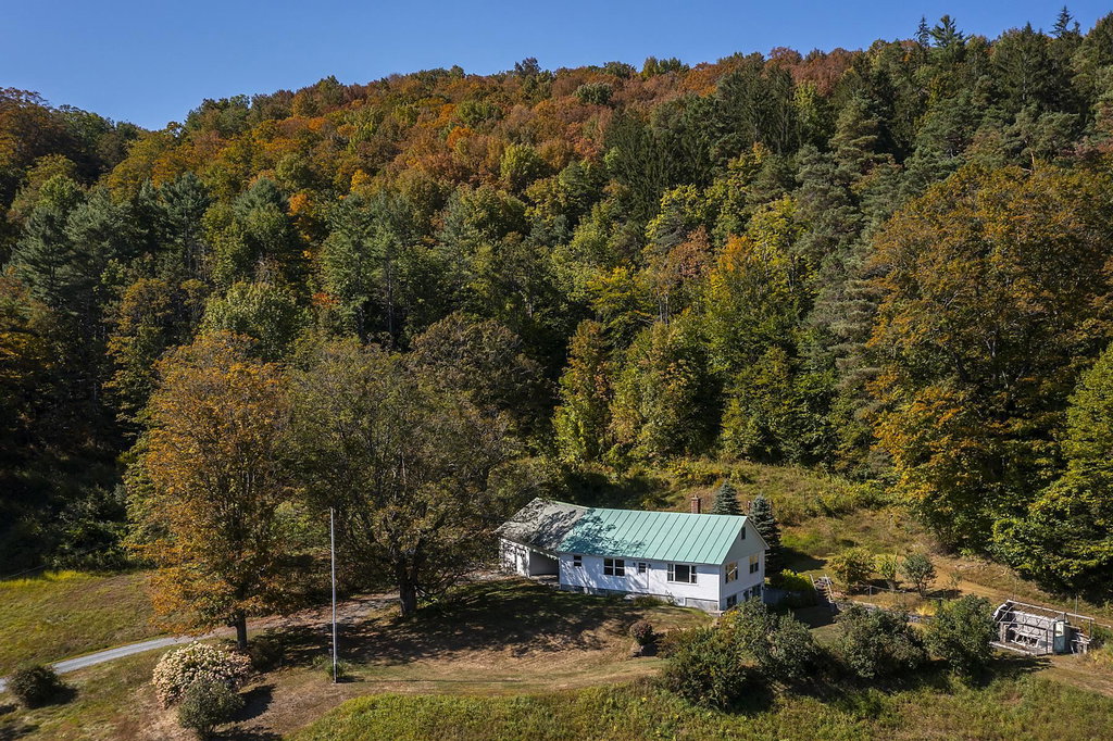 Media Image 1