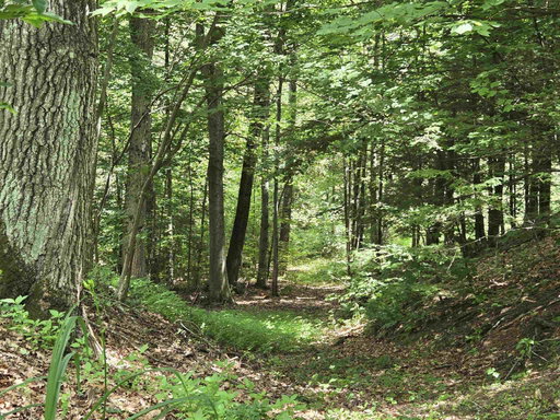 Media Image 3