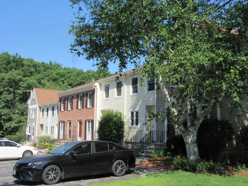 Media Image 3