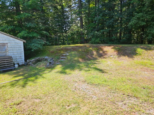 Media Image 3