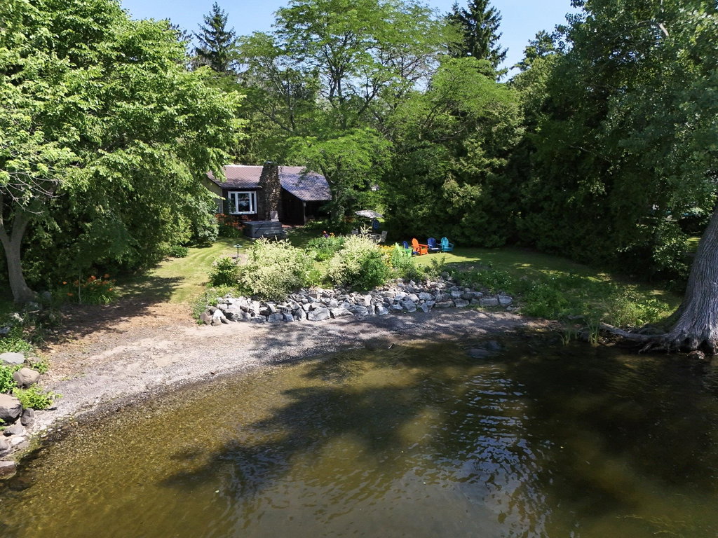 Media Image 1