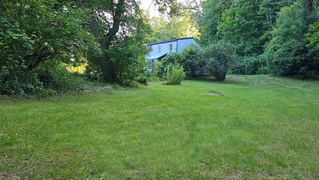 Media Image 1