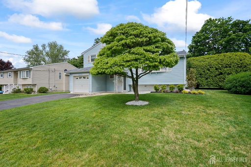 Media Image 3