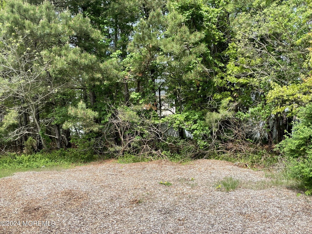 Image Unavailable