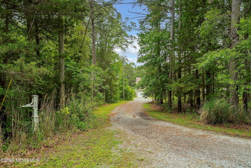 Media Image 3