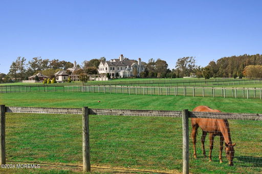 Media Image 3