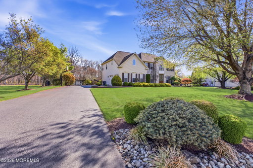 Media Image 3