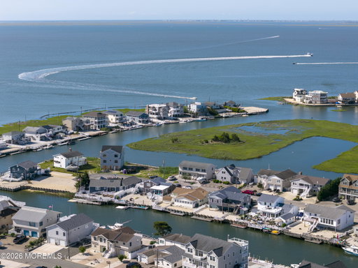 Media Image 3