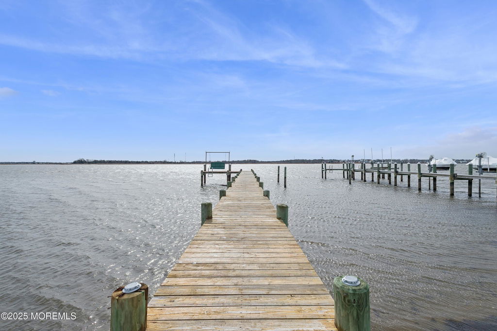Media Image 1