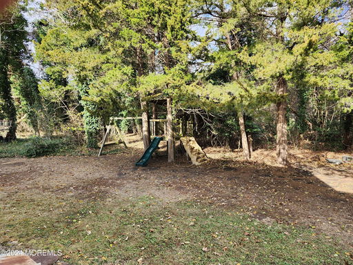 Media Image 3