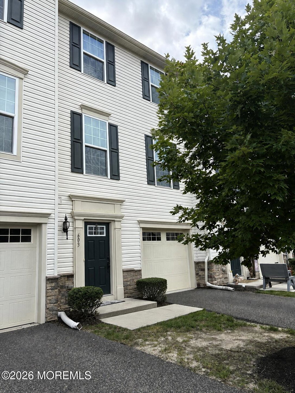 Media Image 1