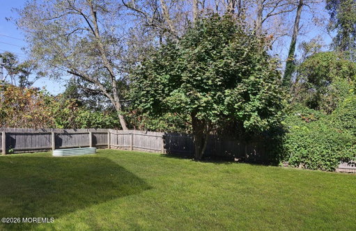 Media Image 3