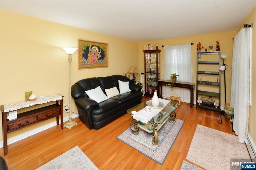 Media Image 3