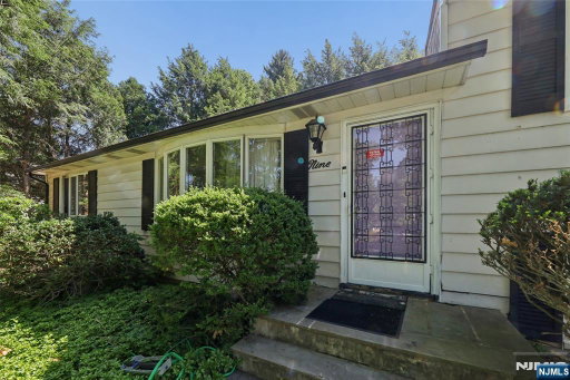 Media Image 3