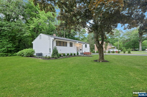 Media Image 3