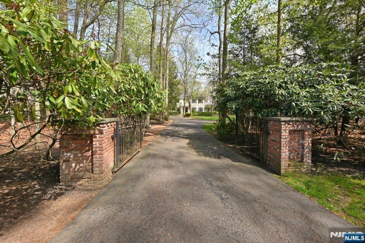 Media Image 3
