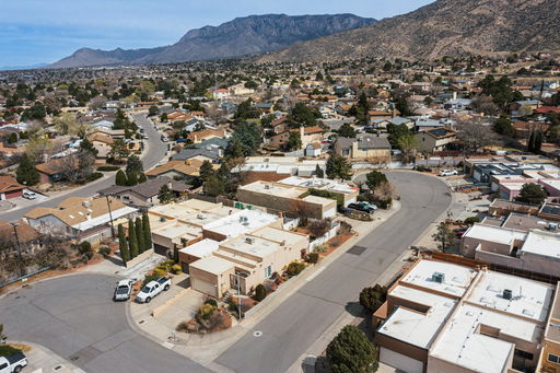 Media Image 2