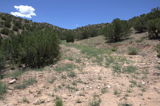 Media Image 3
