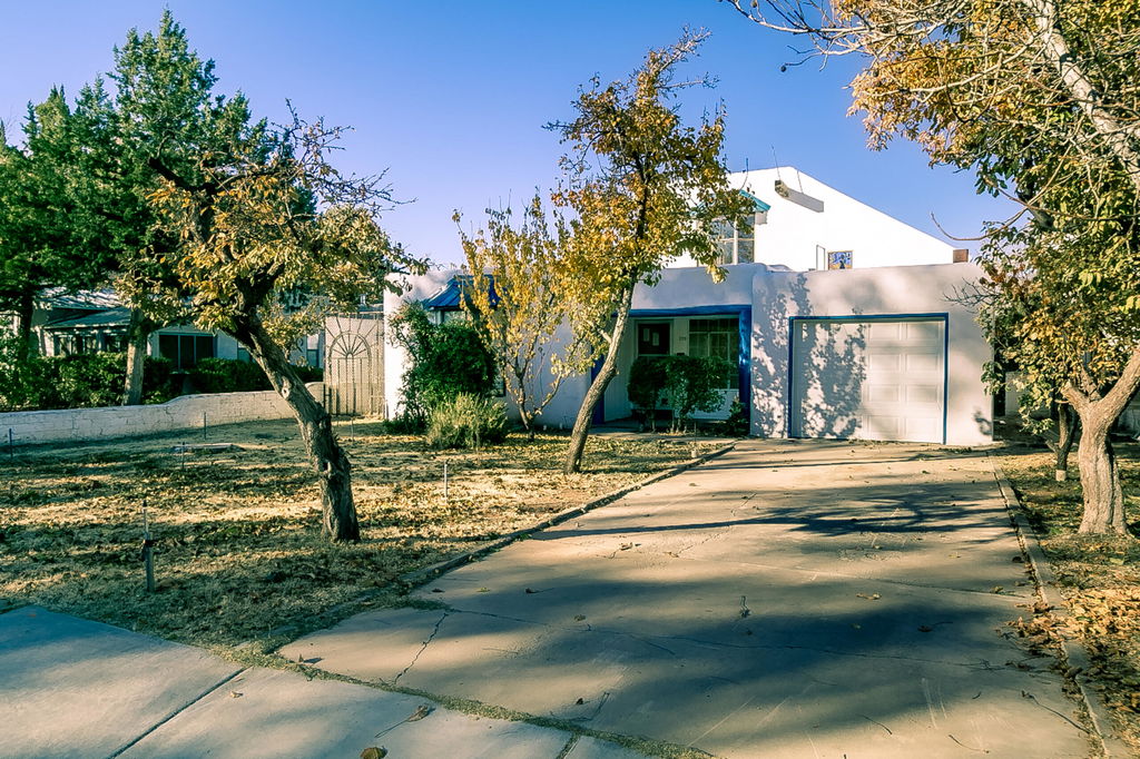 Media Image 1