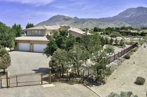 Media Image 2