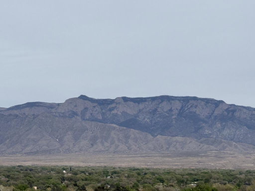 Media Image 3