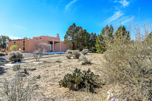 Media Image 3