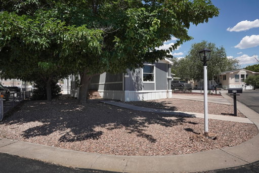 Media Image 2