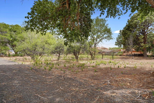Media Image 2