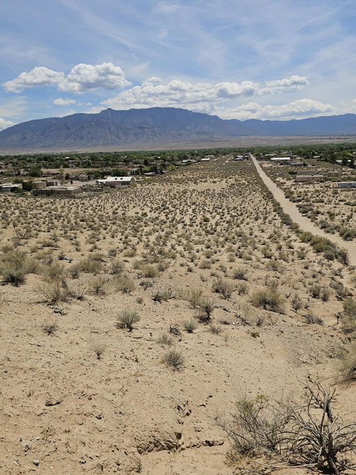 Media Image 3