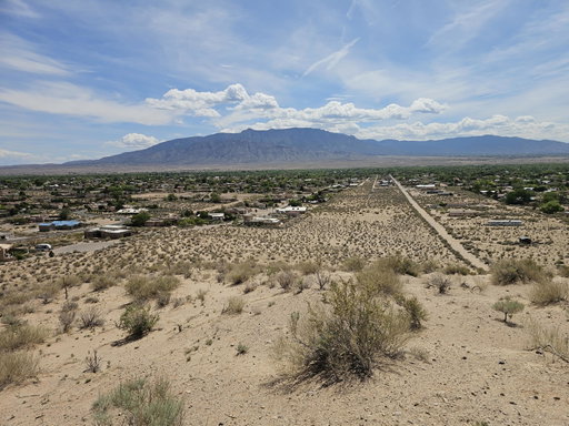 Media Image 2