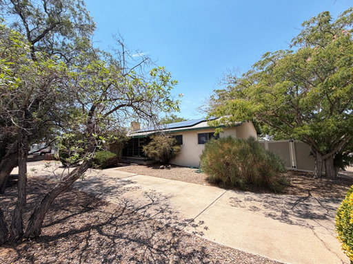 Media Image 2