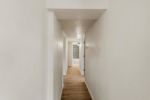 Media Image 2