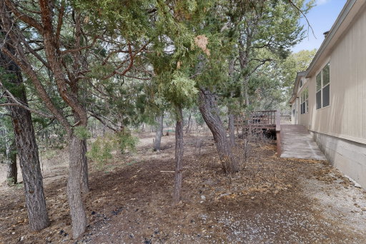Media Image 3