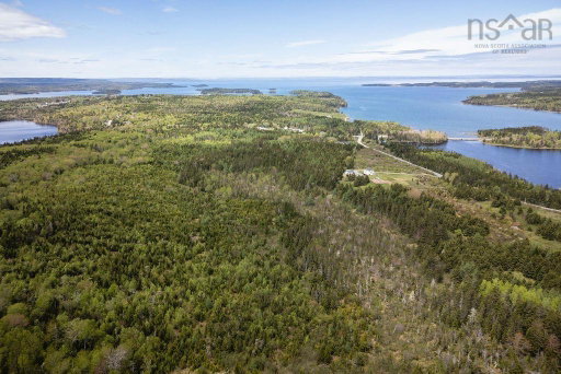 Media Image 2