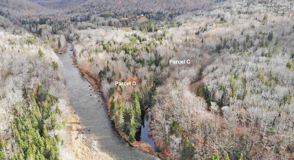 Media Image 1
