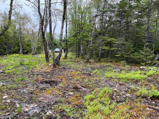 Media Image 2