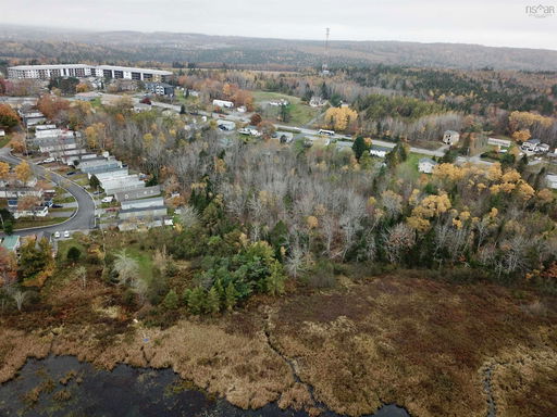 Media Image 3